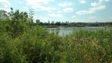 Warszawa nad Wisłą i wieżowce